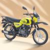 Boxer offroad