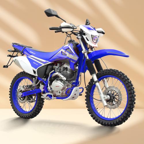 Longding 250