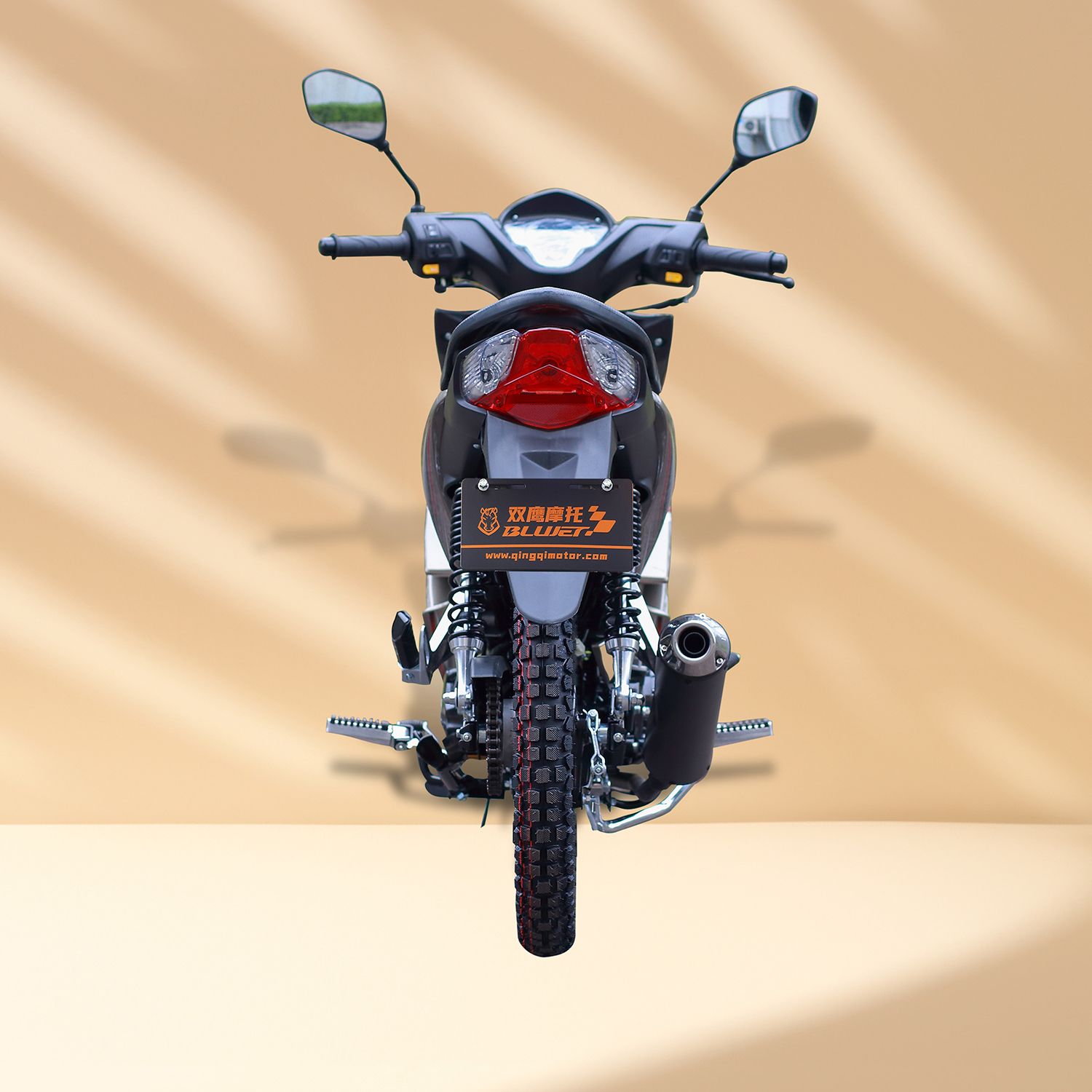 Eagle 110