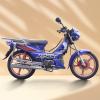 Forza 110