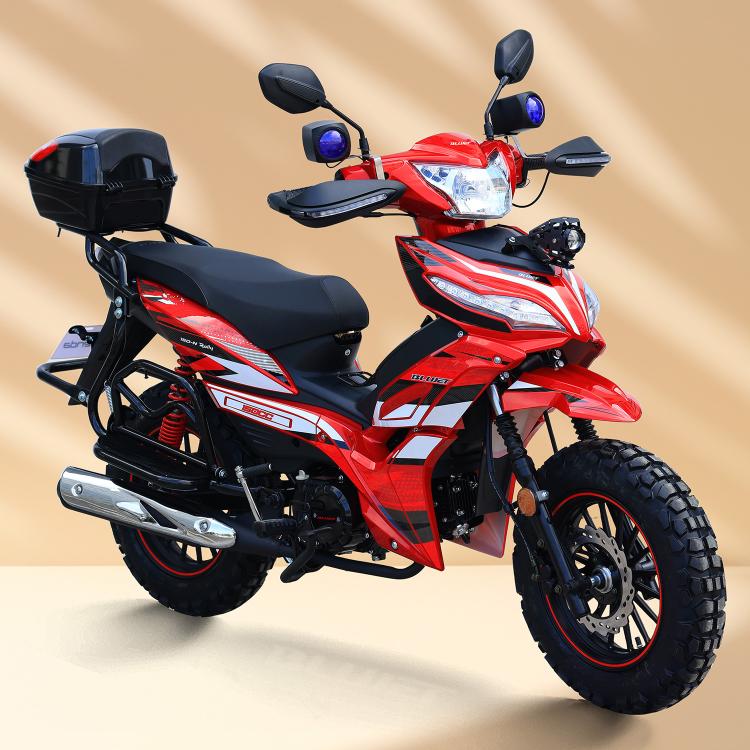 LEO 150cc