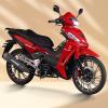 Spider 125