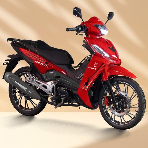 Spider 125