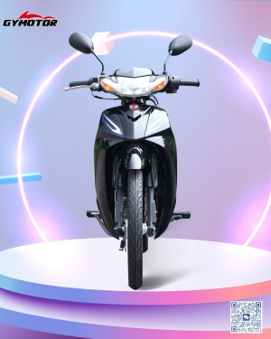 New Crypton 