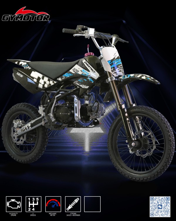 Pitbike 110