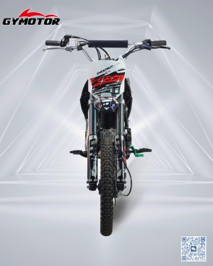 Pitbike 110