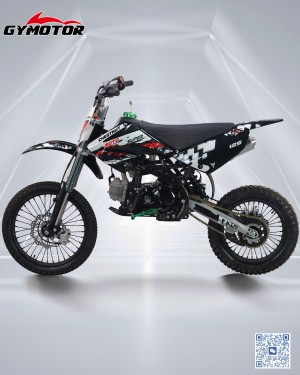 Pitbike 110